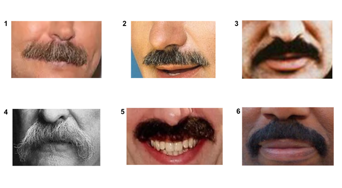 Pictures of celeb's mustaches for a quiz