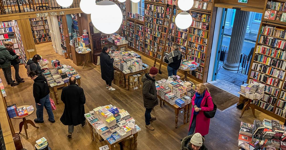 Indie Library Store Indie bookstores thrive against all odds
