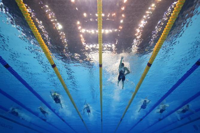 swimmers in lap lanes