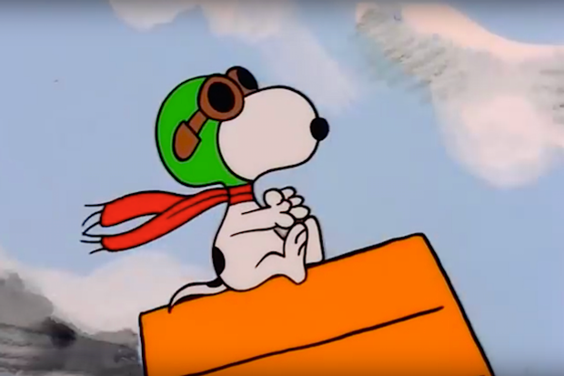 Snoopy on a plane