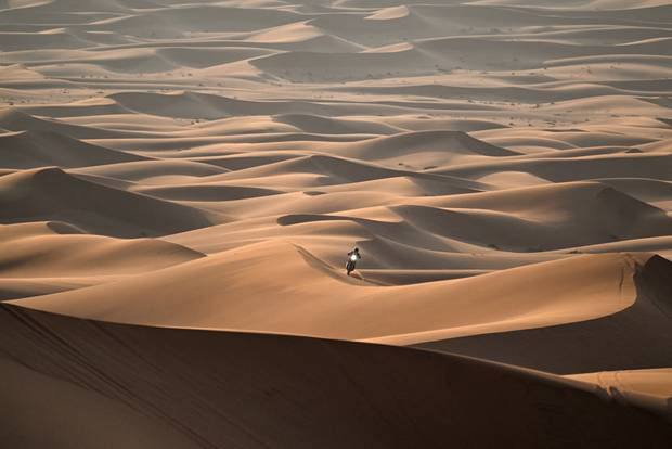 A biker rides across the Saudi Arabian dunes in the annual Dakar Rally 