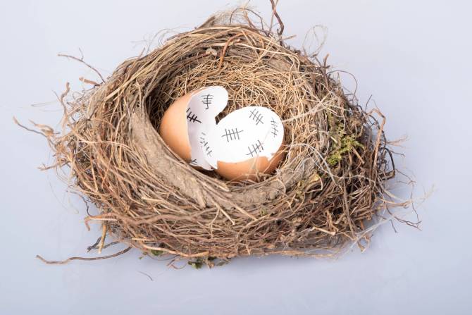 image of a nest with cracked eggs inisde it