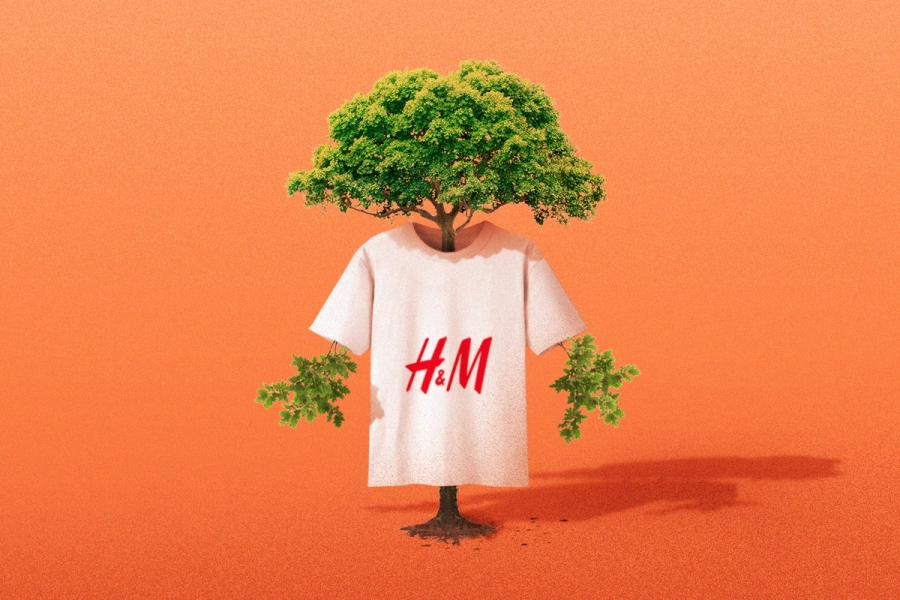 H&M shirt over tree 