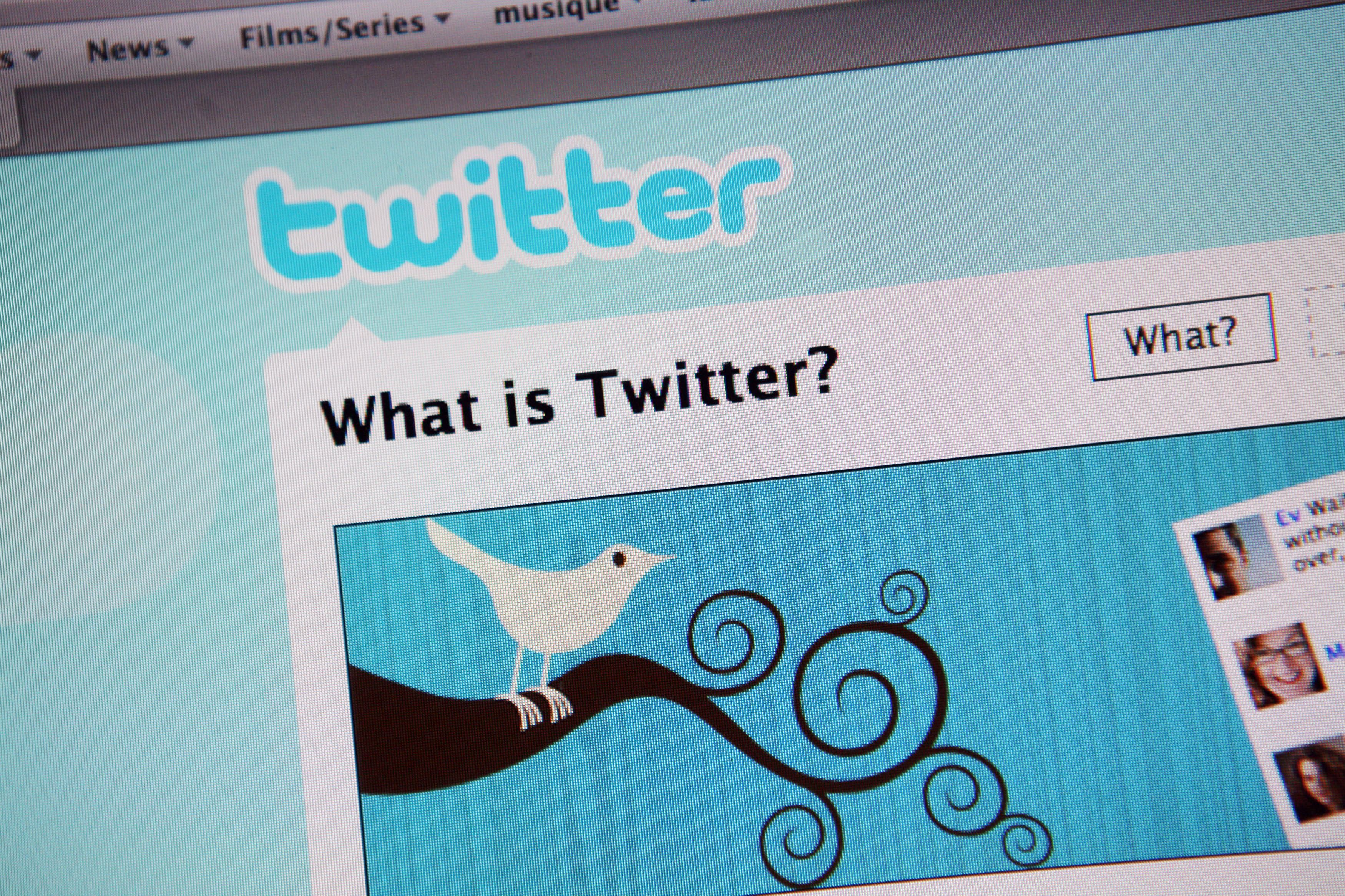A close range photo of the original Twitter welcome page showing original logo and the original twitter bird on a swirly vector branch.