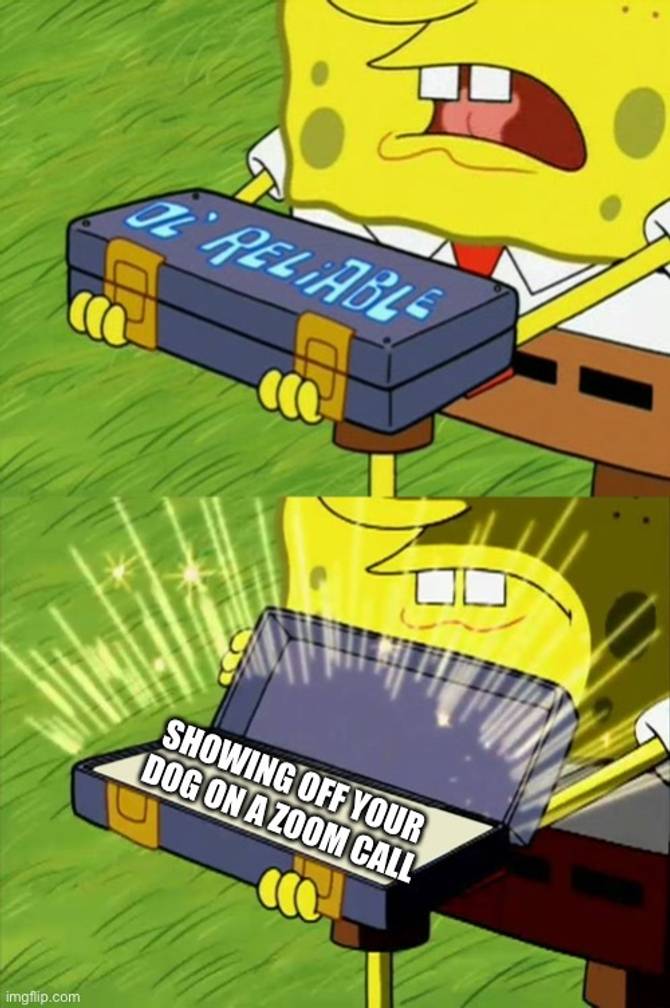 SpongeBob meme of 