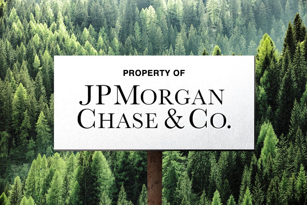 JPMorgan Buys 250,000 Acres Of Woodlands | Flipboard