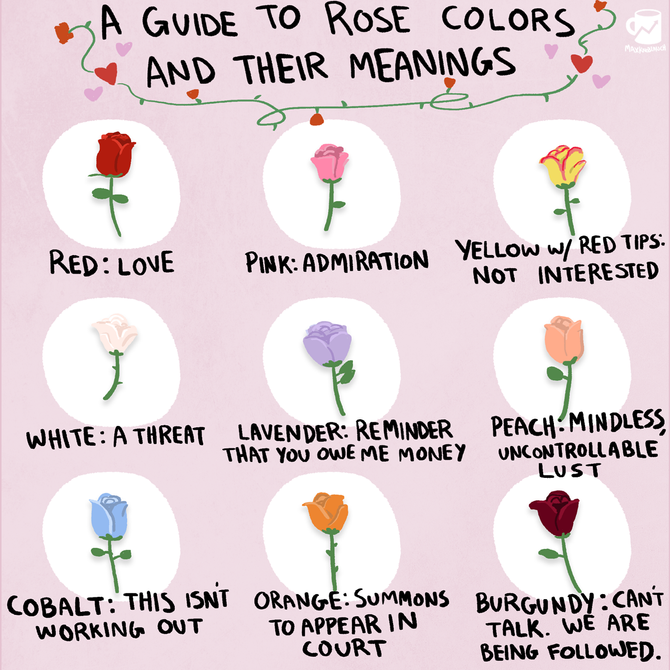 A guide to rose colors and their meanings