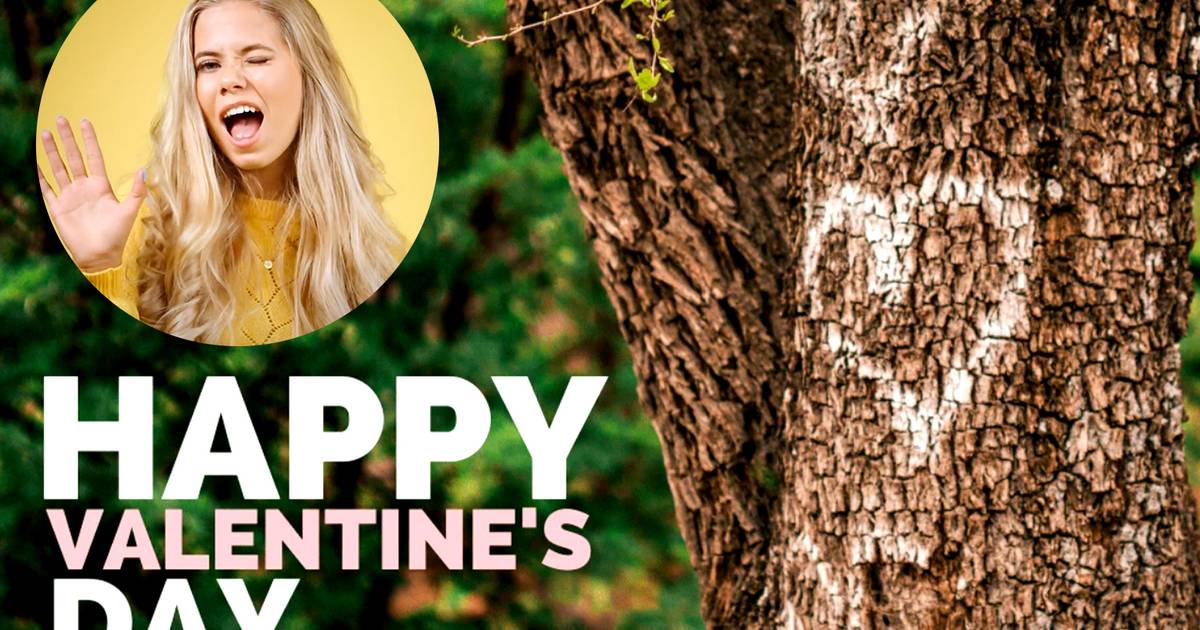 Even Tree Companies are Choosing Modern Branding over Greenwashing