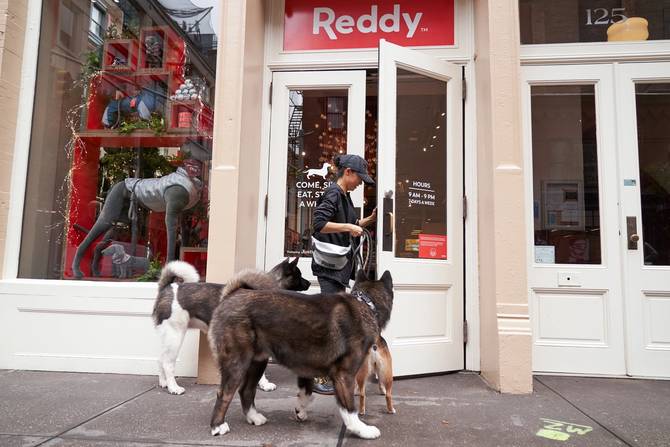 Petco's Reddy flagship store