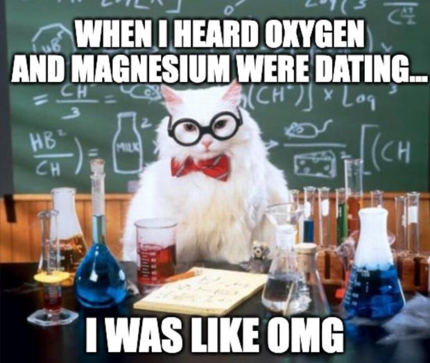 Meme of a cat telling a science joke