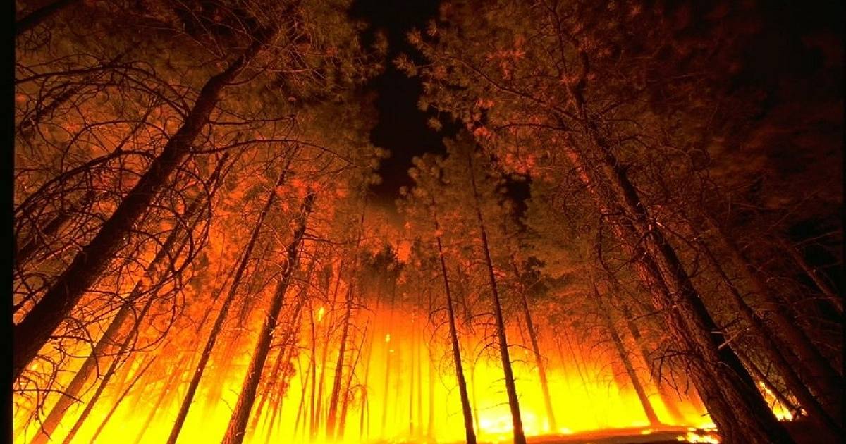 Wildfire risk may double in the next 3 decades for most homes: report
