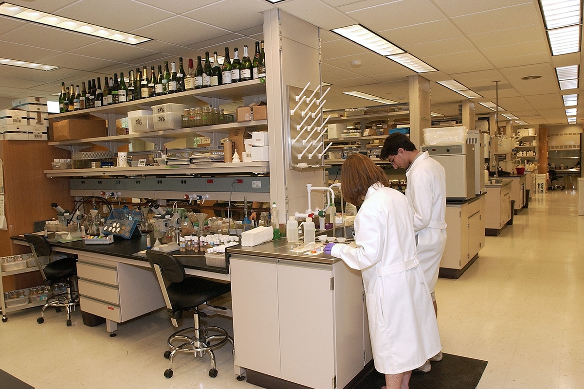 Two people in lab coats work side by side in a lab setting. Various viles, bottles, and equipment fill the room.