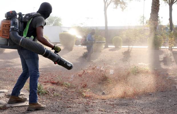 Man uses a gas-powered leaf blower.