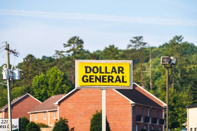 Dollar store earnings