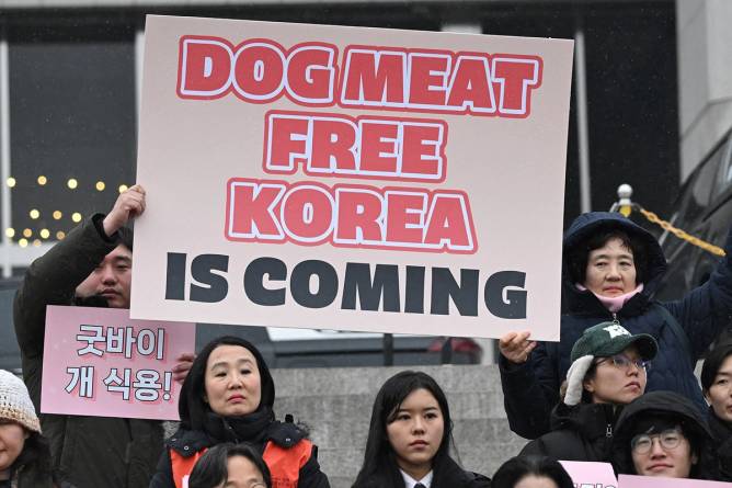 Protesters with sign that reads “dog meet free korea is coming”