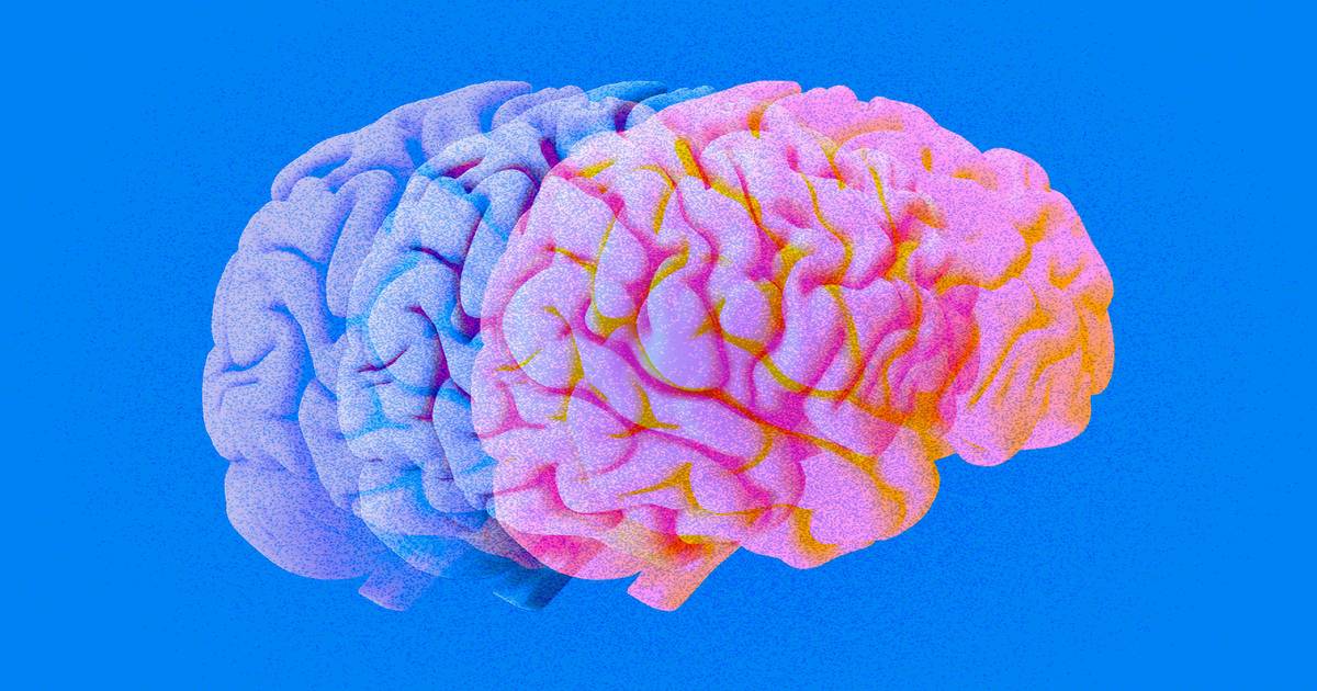 Headspace releases a “survival guide” for election anxieties Headspace releases a “survival guide” for election anxieties