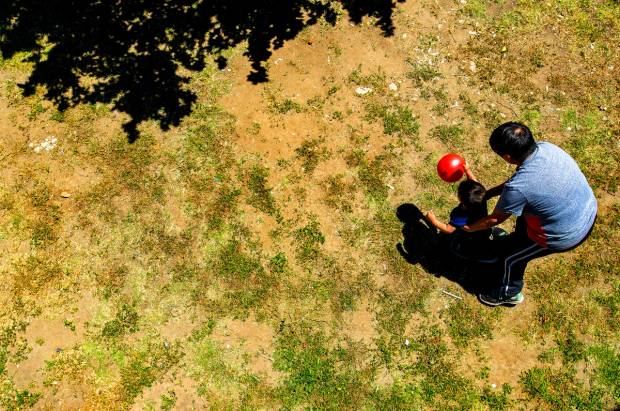 Brown lawn in California during drought