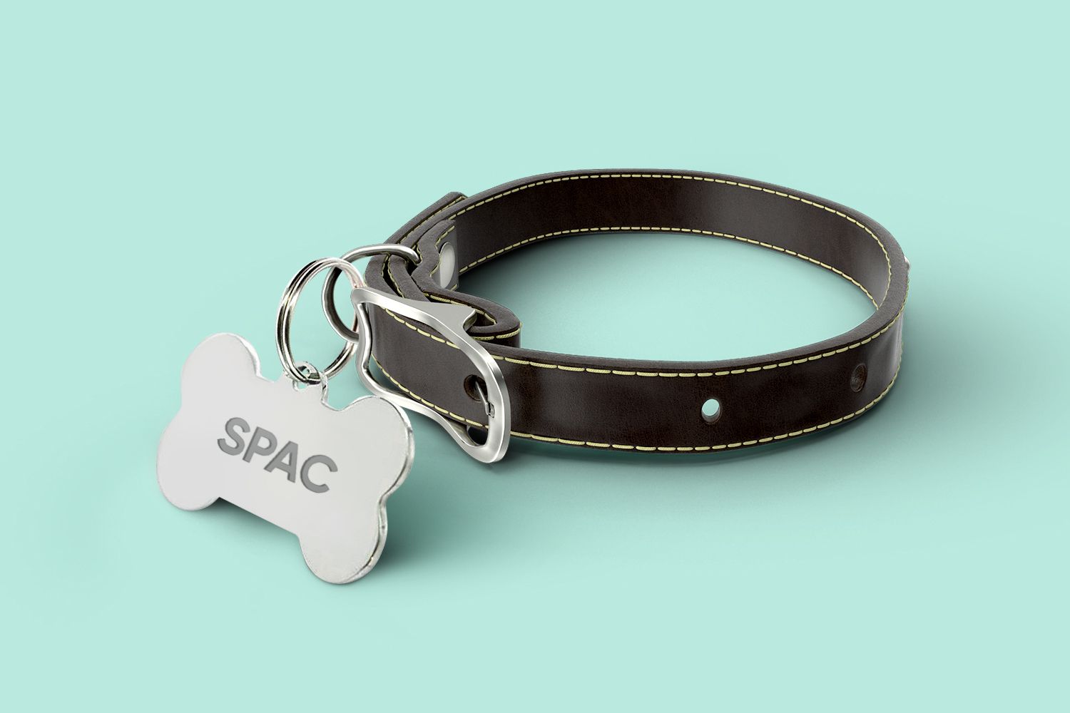 BarkBox Valued at 1.6 Billion in Deal to Go Public