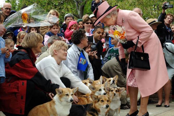 Queen Elizabeth in front of crowd with a bunch of corgis.
