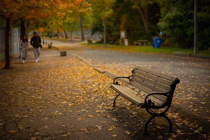 A bench in a park in autumn