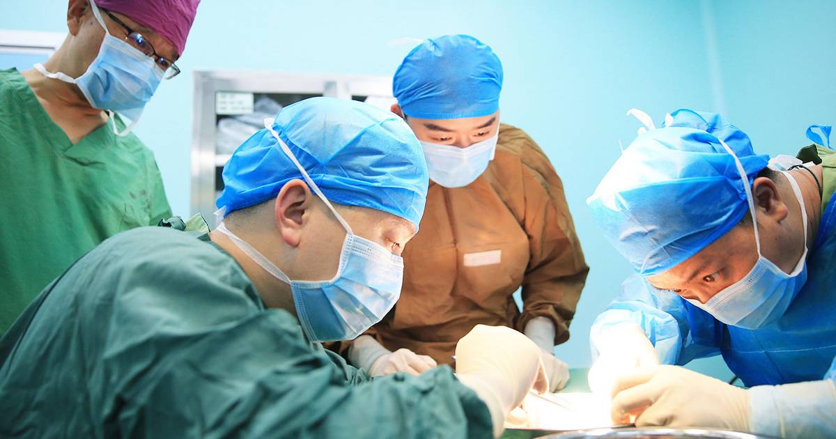 Northwestern’s next-gen kidney transplant technique keeps patient awake during the procedure Northwestern’s next-gen kidney transplant technique keeps patient awake during the procedure