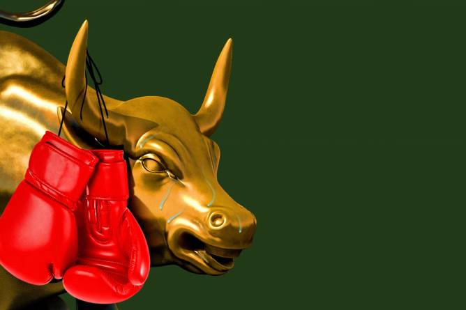 A sweating bull wearing boxing gloves