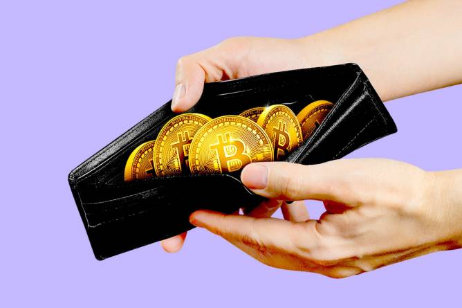 A wallet full of cryptocurrencies