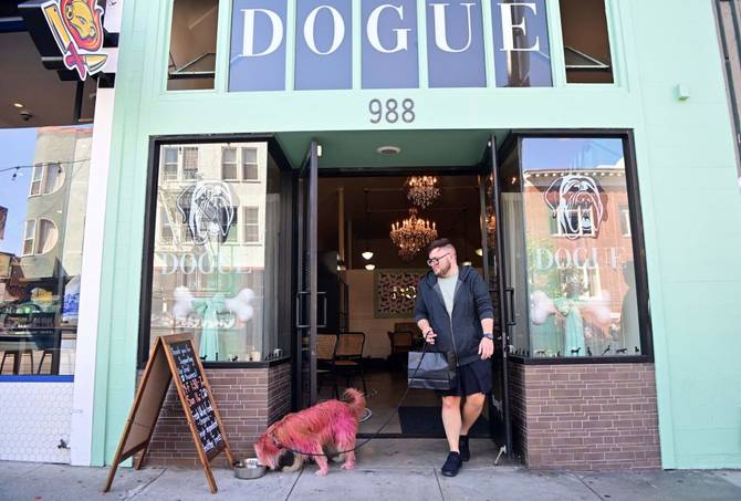 MJ, a terrier mix, drinks cucumber infused water as owner Joey Lake exits Dogue, a restaurant for dogs