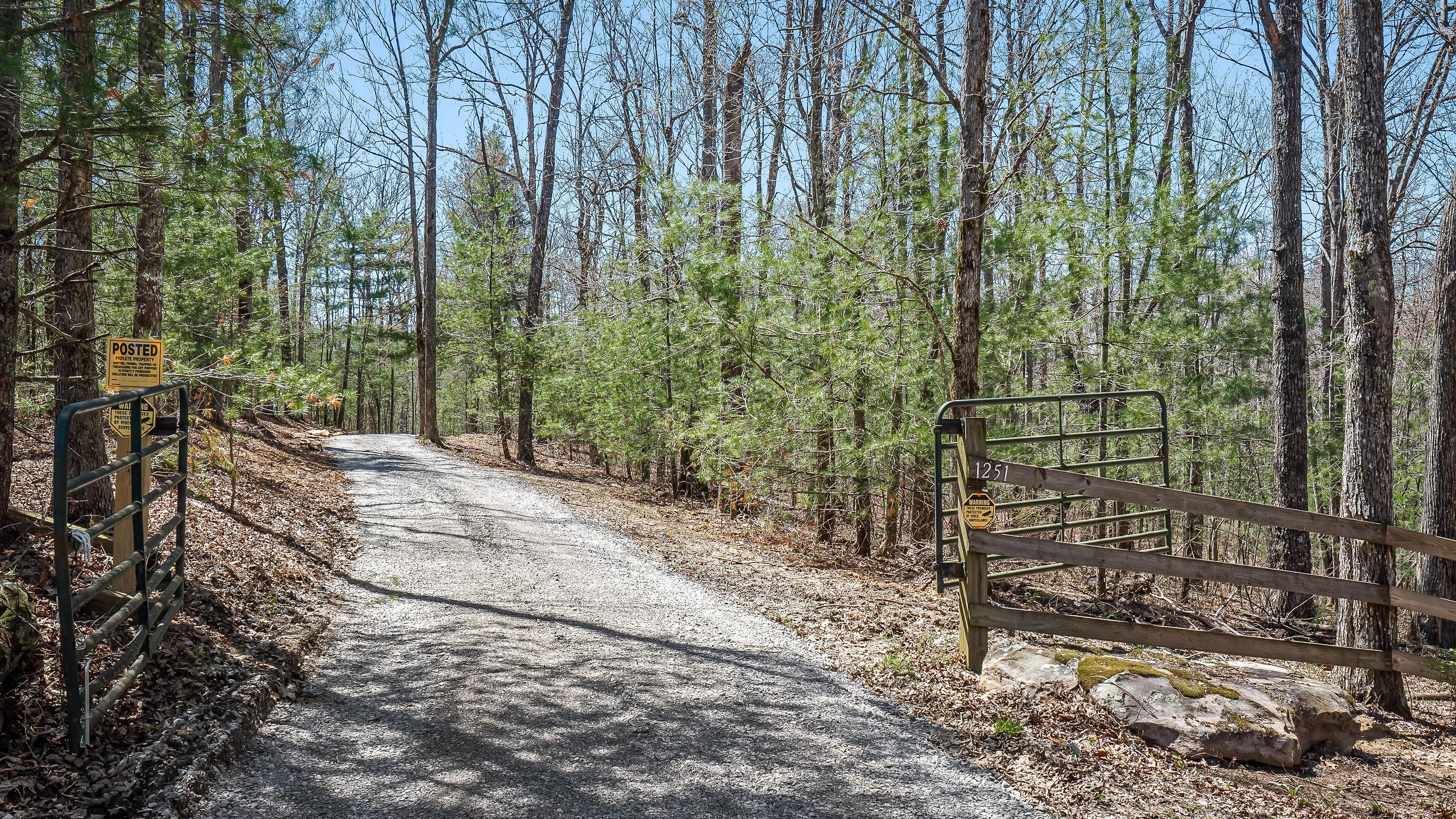 Driveway leading to home