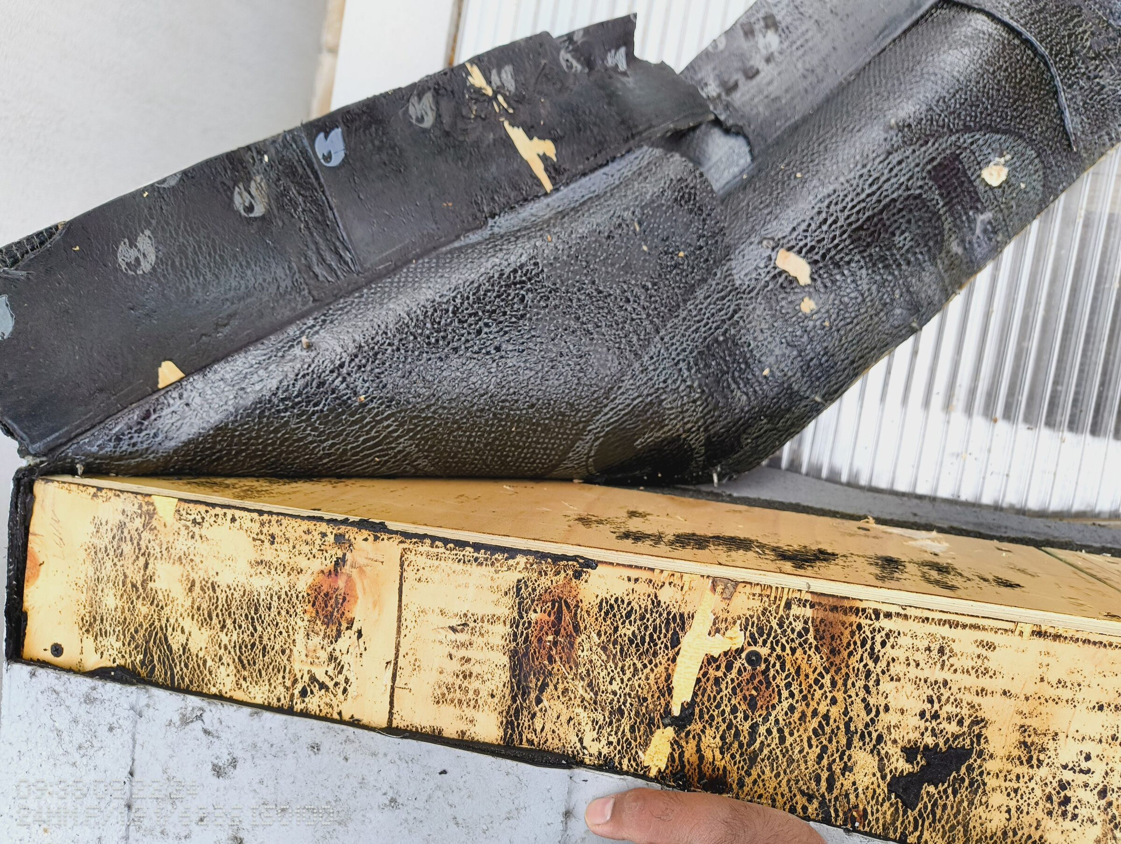 Close view of the roofing felt lifted off the flat roof, with the bitumen-stained timber deck underneath.