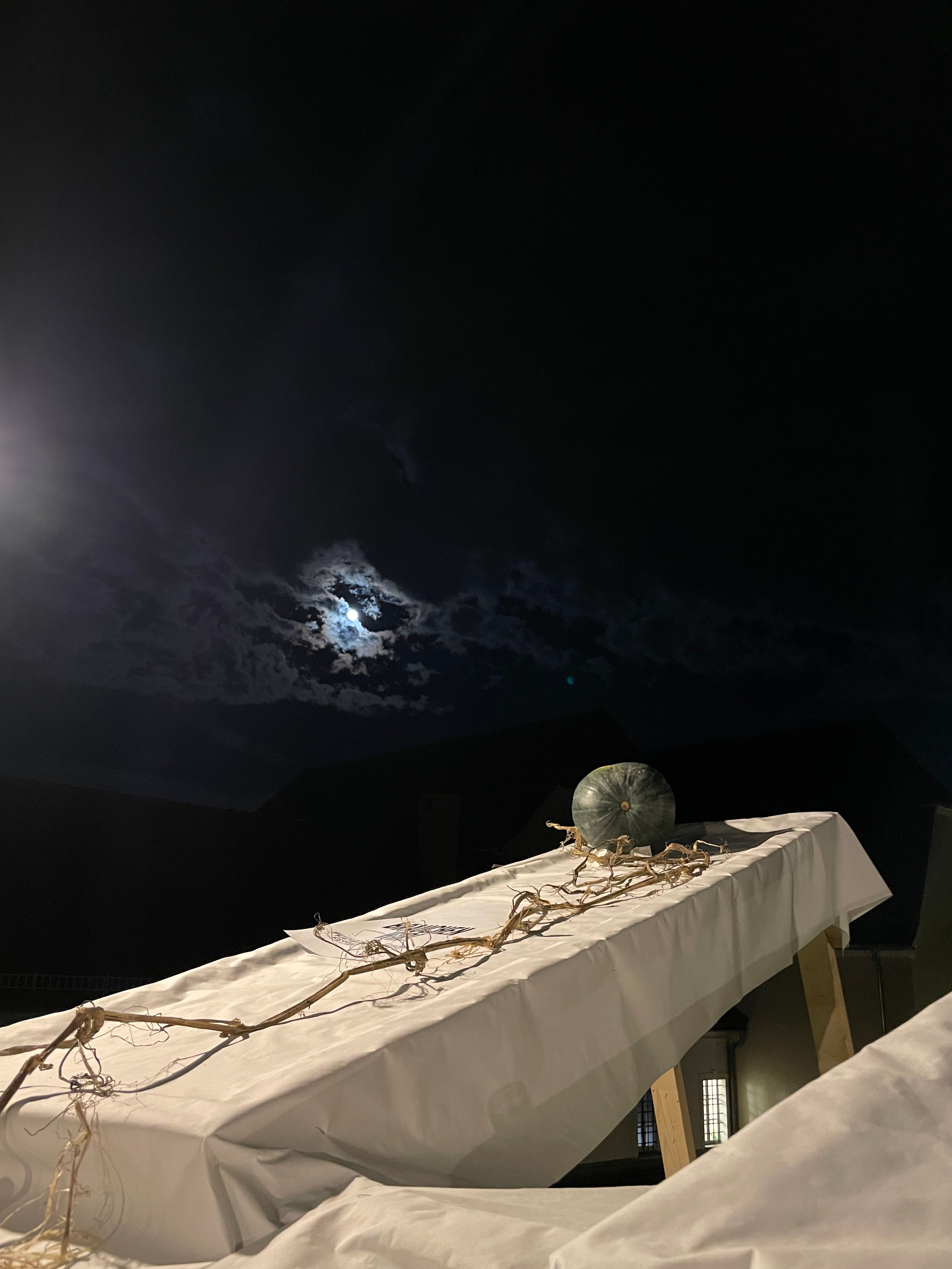 Das Klimakulturfestival