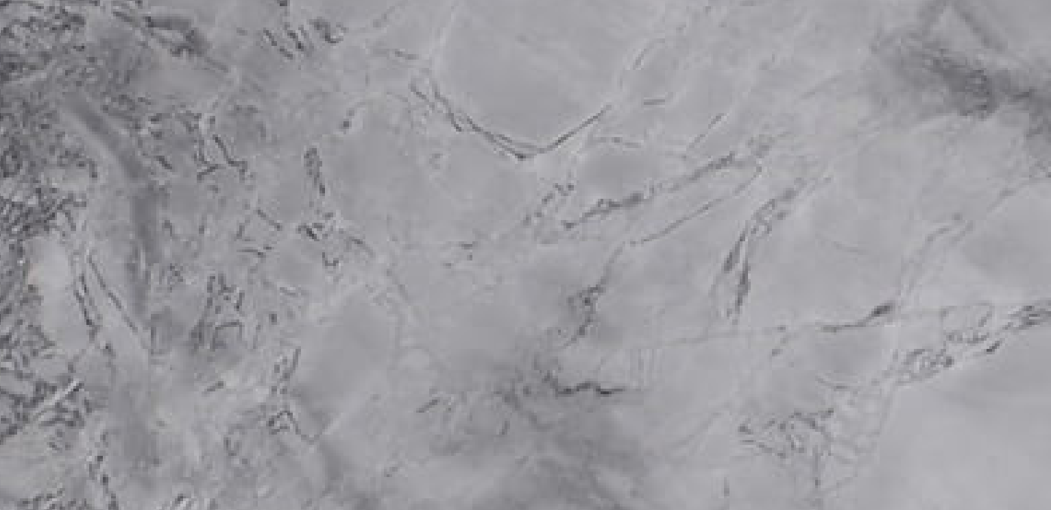 Cuarcita – Silver White — Mármol