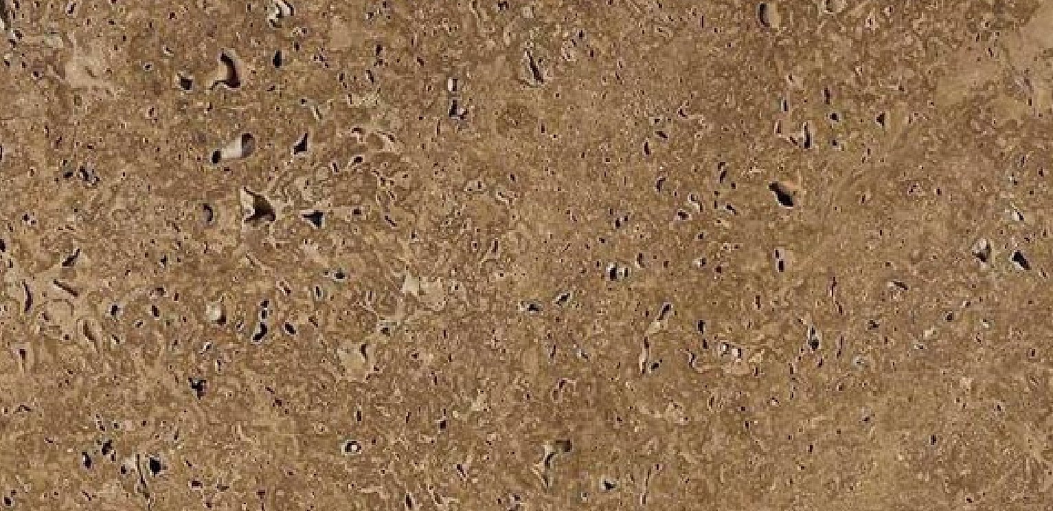 Travertino – Travertino Clásico Noce Al Agua — Travertino