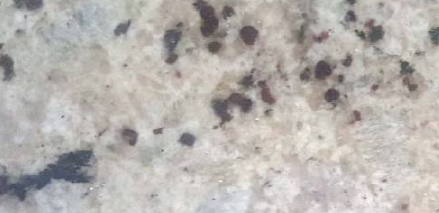 Granito – Crema Colonial — Mármol
