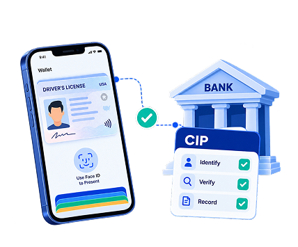 Can Banks Accept Mobile Driver's Licenses for CIP? What the 2026 FinCEN FAQ Means