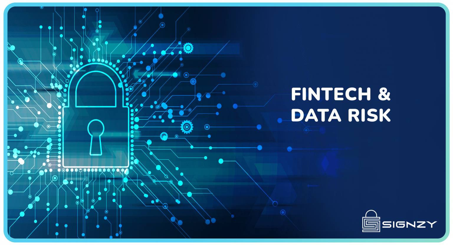 Fintech & Data Risk