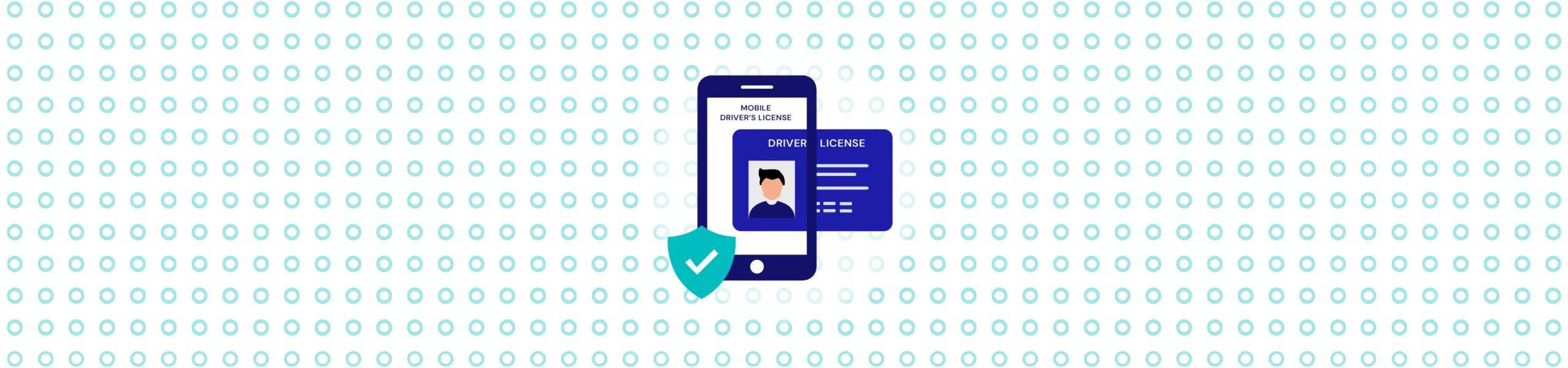 How to Verify MDLS? Step-by-Step Process