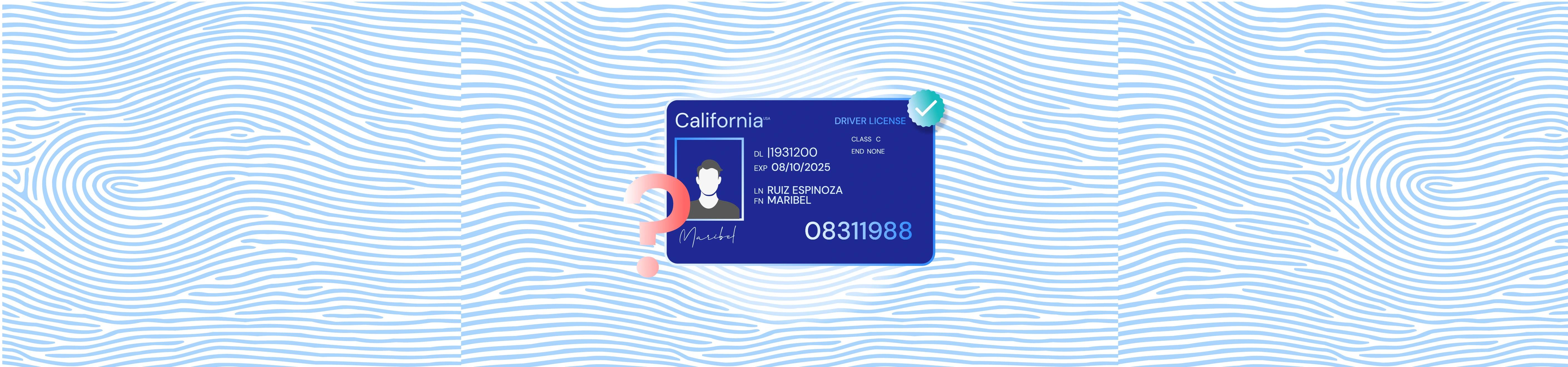 Driver's License Verification Ultimate Guide: 26 FAQs Answered