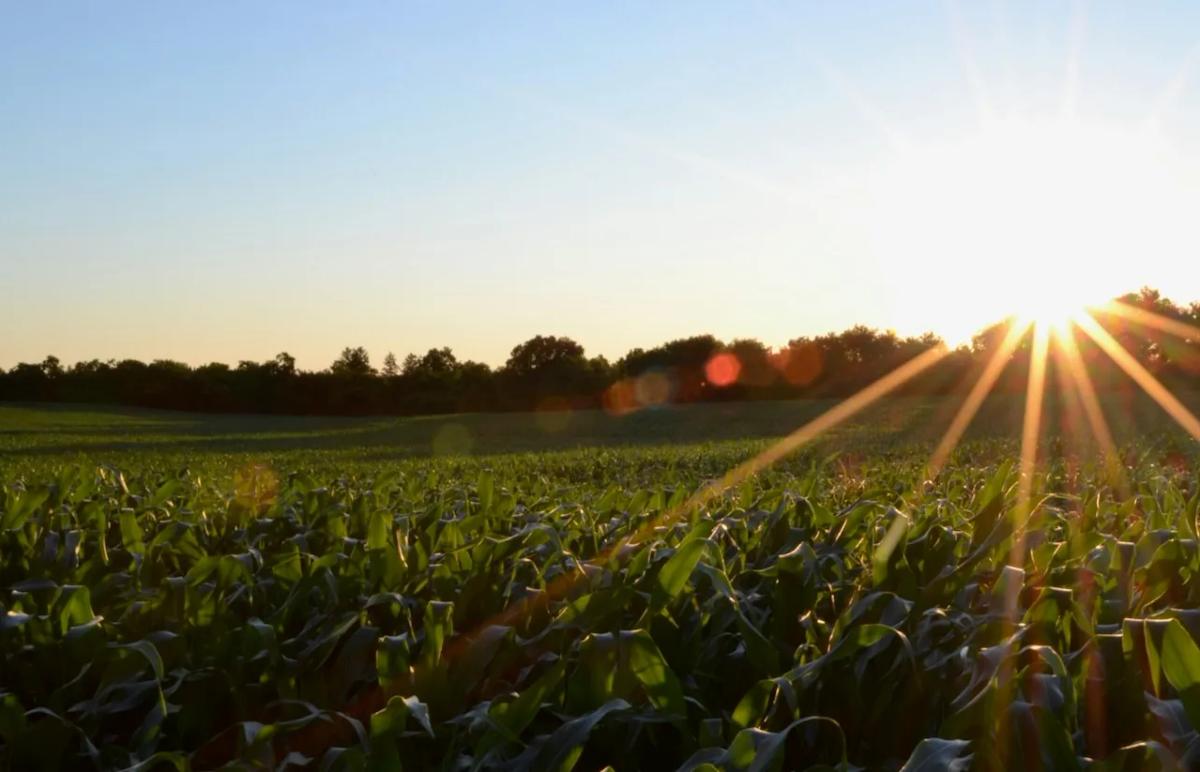 How Farmers Business Network streamlined mail operations with Stable