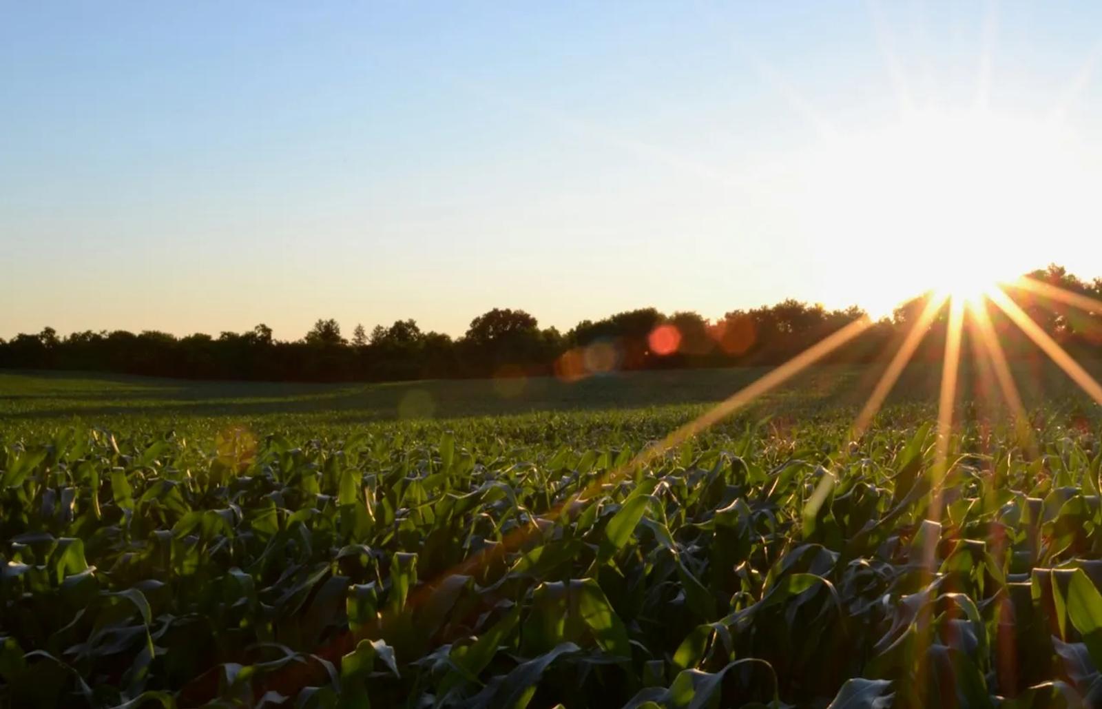 How Farmers Business Network streamlined mail operations with Stable