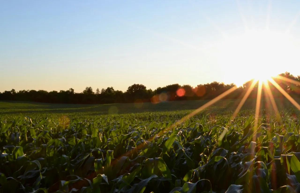 How Farmers Business Network streamlined mail operations with Stable