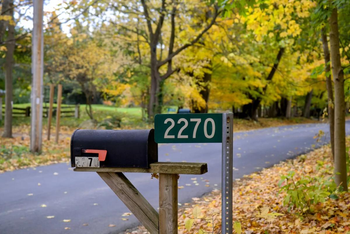 Residential curbside mailbox with a visible house number, a home address used as a registered agent address