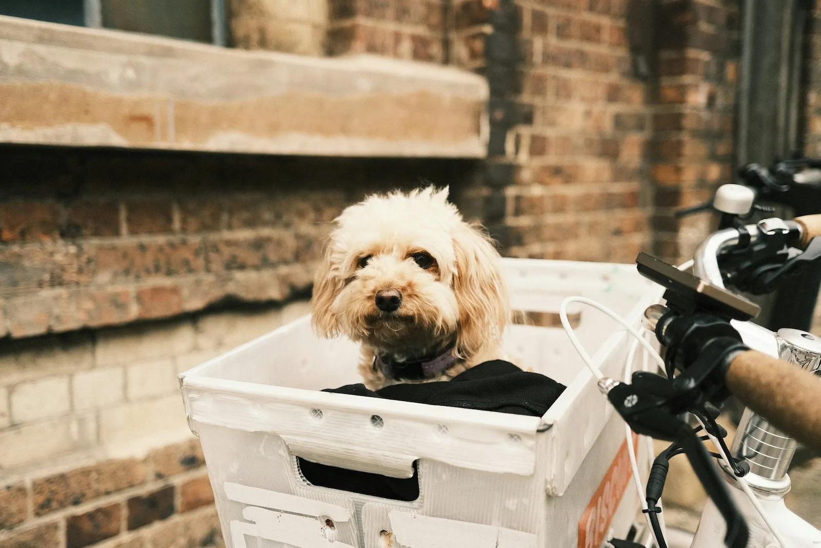 Federal laws on mail delivery: What every business needs to know
