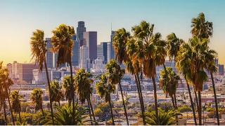 Skyline representing virtual address from Stable