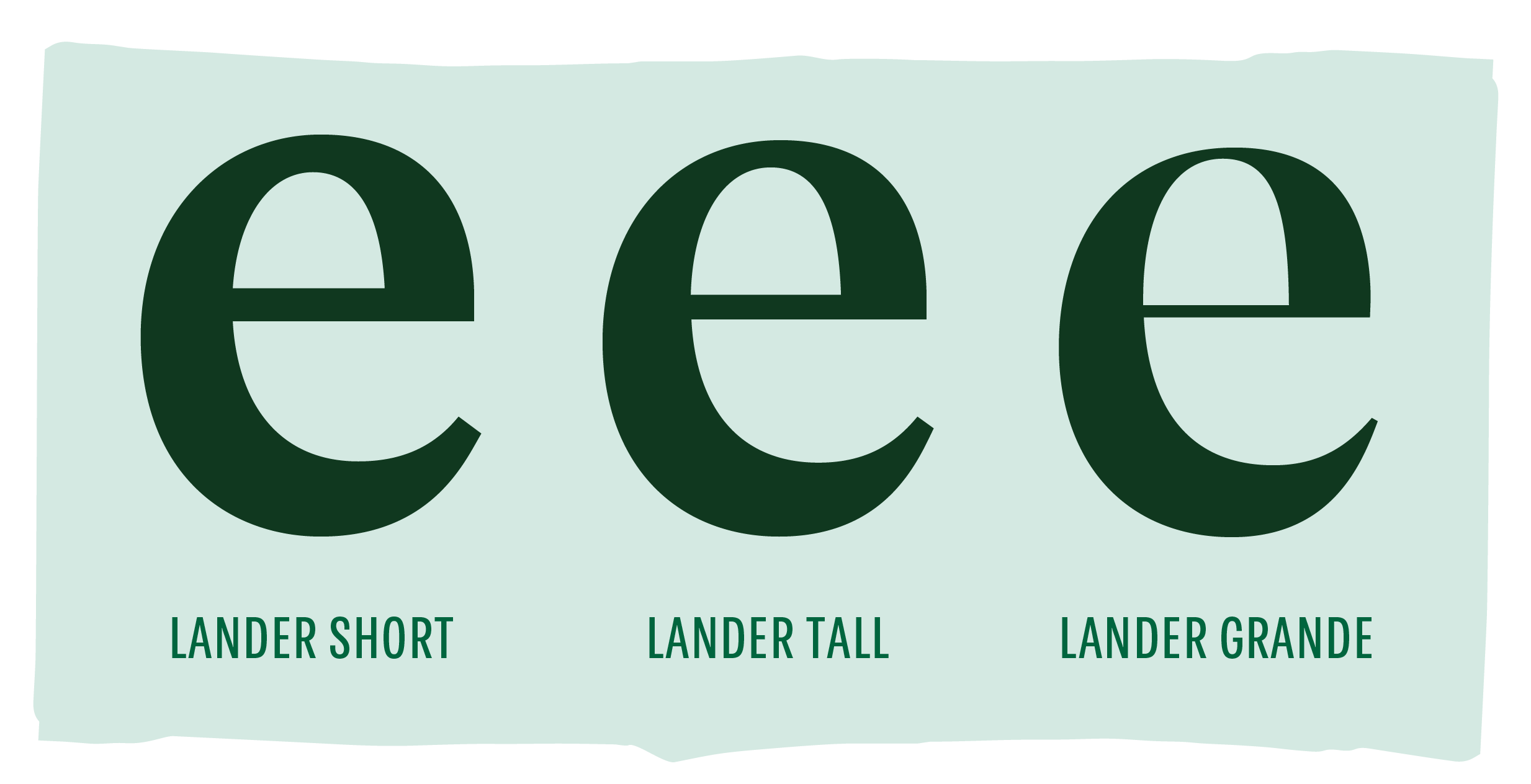 Starbucks Case Study | Lettermatic