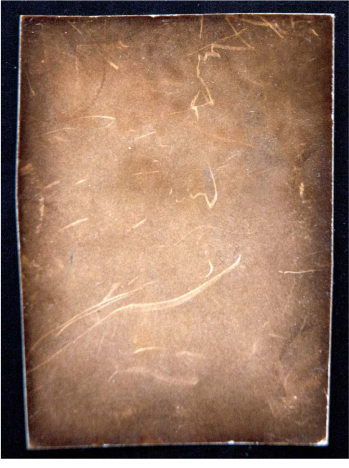 Variations Esthétiques