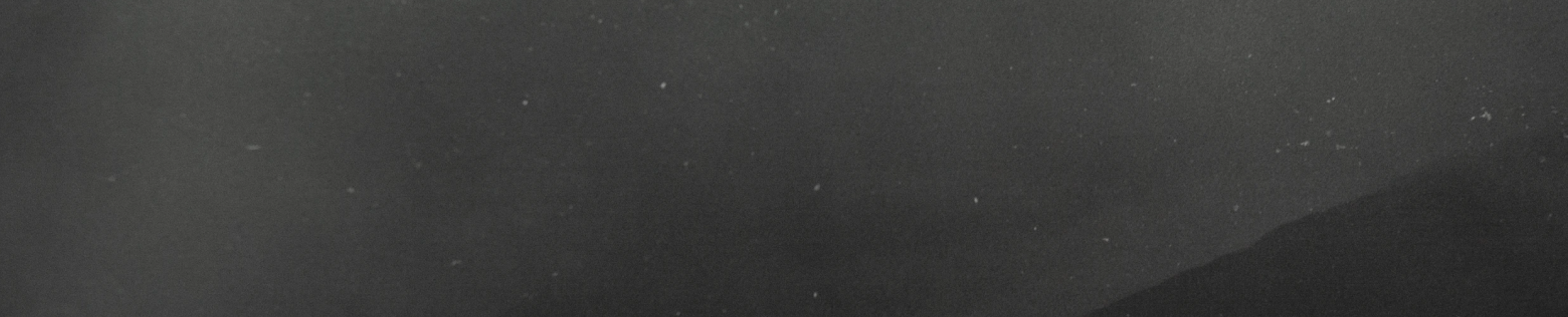 banner image