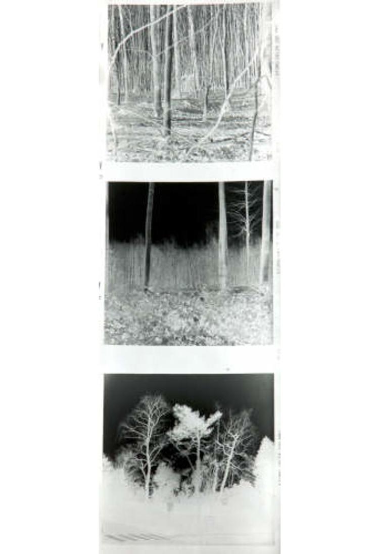 Explorations films