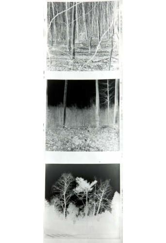 Explorations films