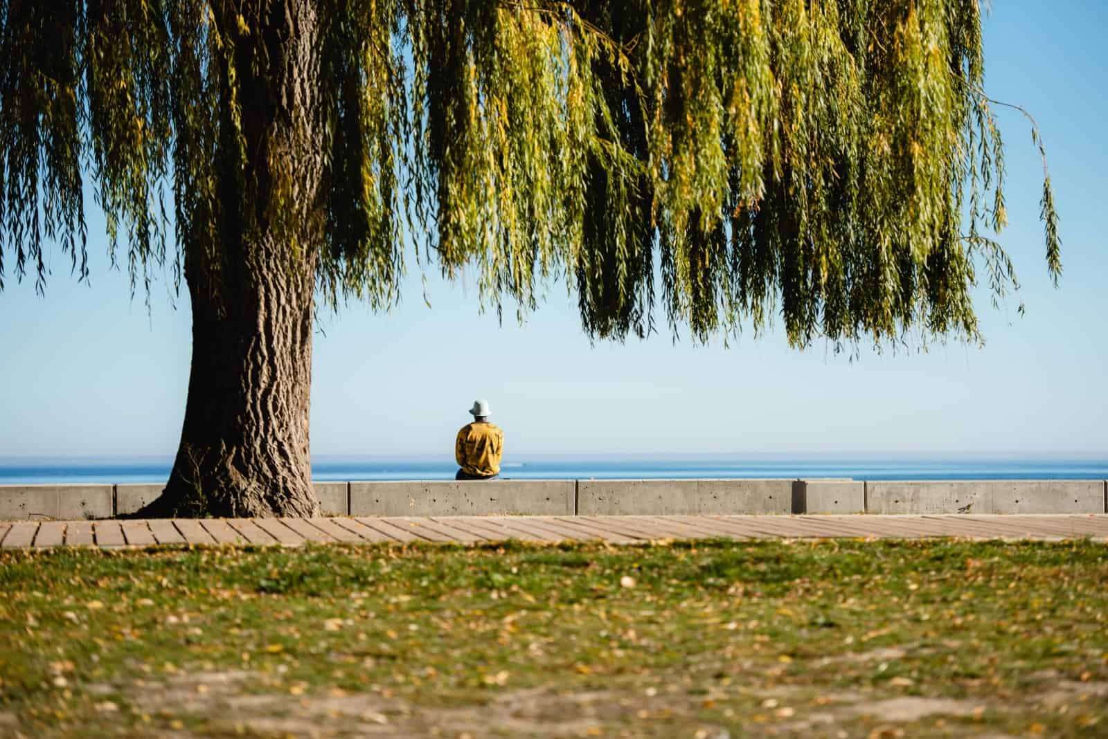 The Nine gallery image